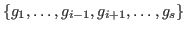 $\{g_1,\dots,g_{i-1},g_{i+1},\dots,g_s\}$