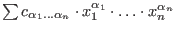 $\sum
c_{\alpha_1\ldots\alpha_n}\cdot x_1^{\alpha_1} \cdot \dots \cdot
x_n^{\alpha_n}$